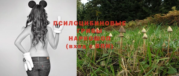 тгк Беломорск
