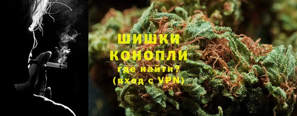 PSILOCYBIN Богородск